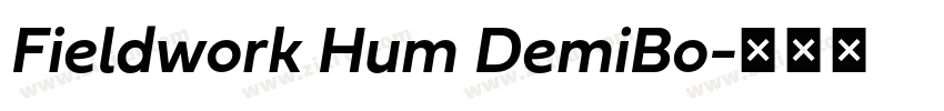 Fieldwork Hum DemiBo字体转换